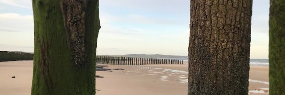 Thomas Levivier banner