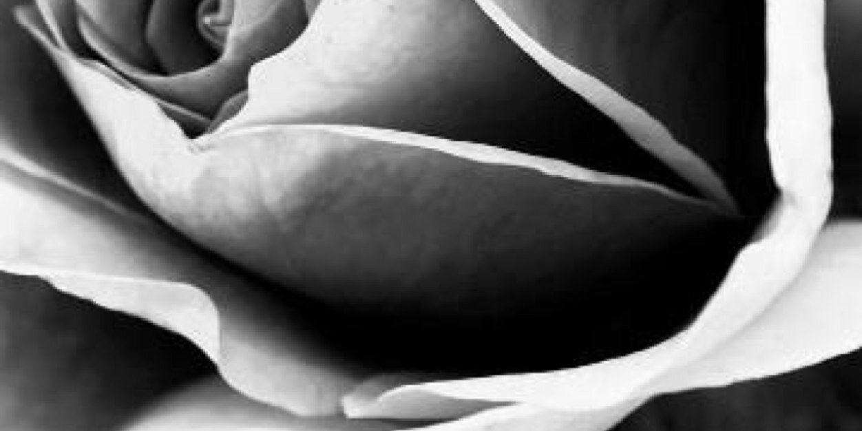 ملأك الروح banner