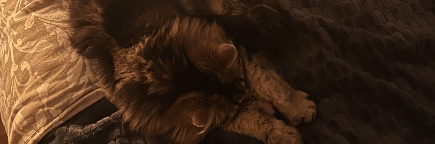 wilena_d's profile banner image