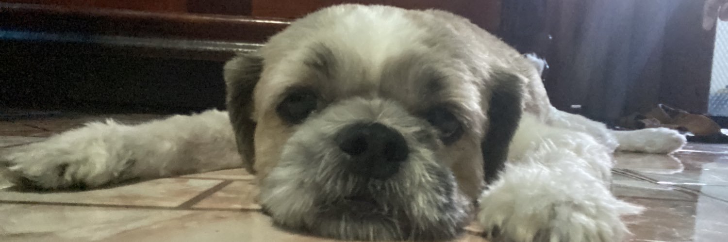 jsscjn_'s profile banner image