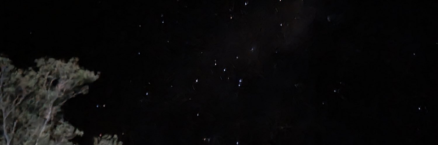 letiige's profile banner image