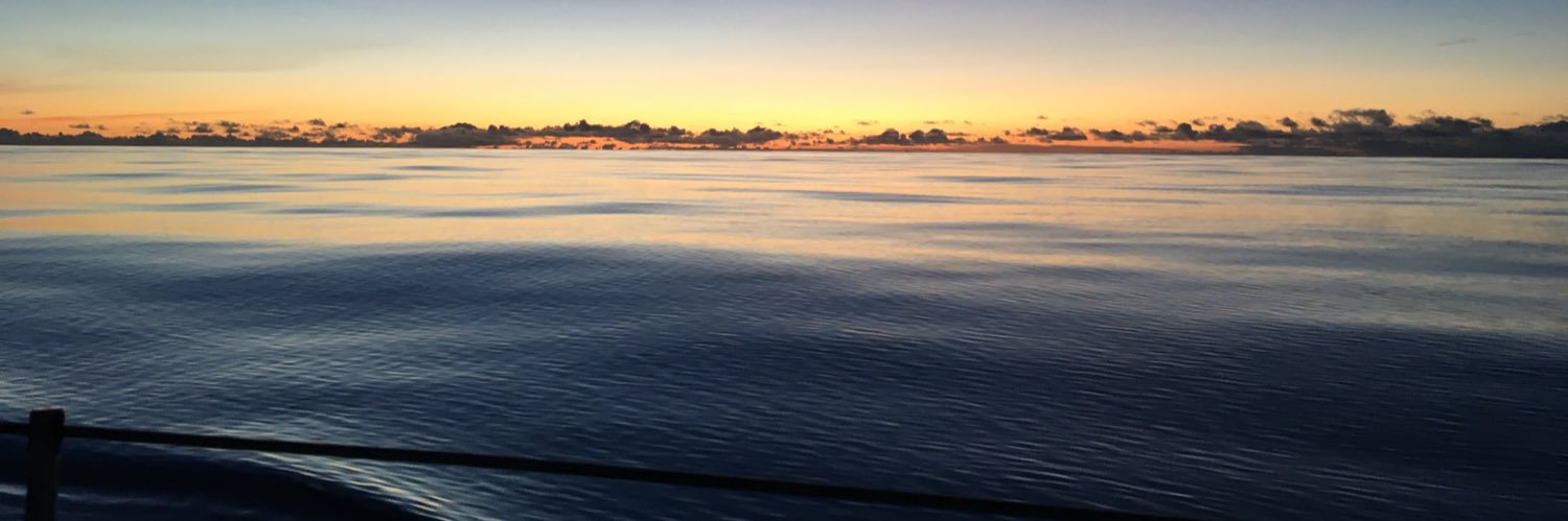 Tobias Scheller banner