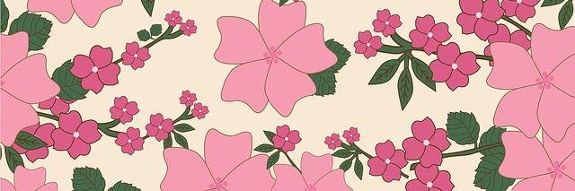 amaliahamida's profile banner image