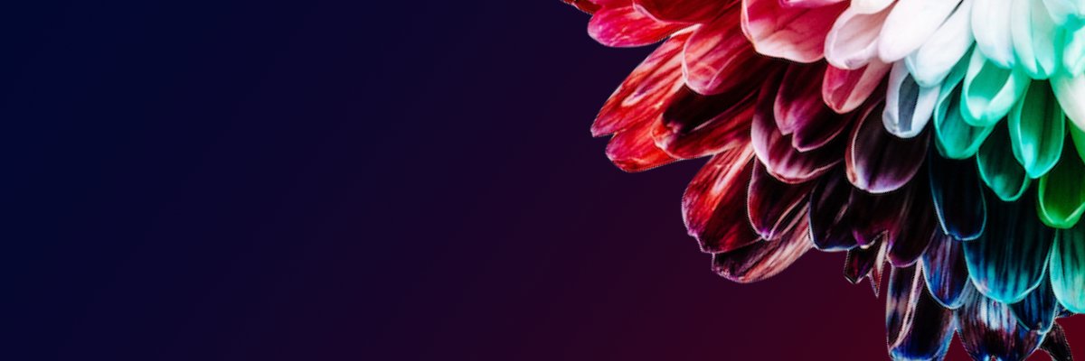 creators@ banner