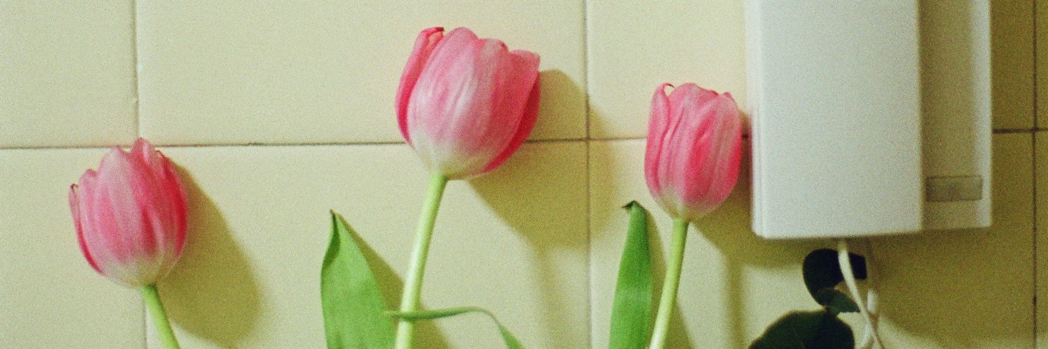 daichu🍒 banner
