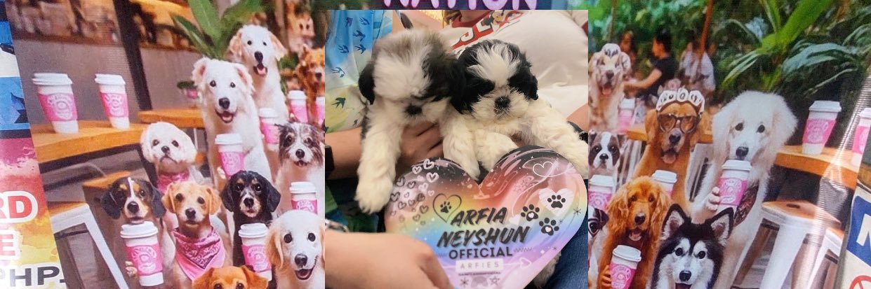 Lime_Update's profile banner image