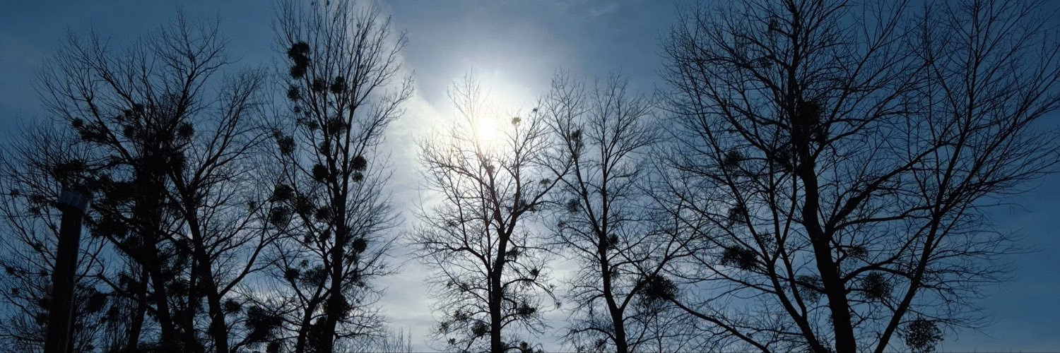 Up_Emil2's profile banner image