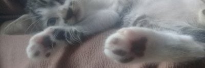 nur45745's profile banner image