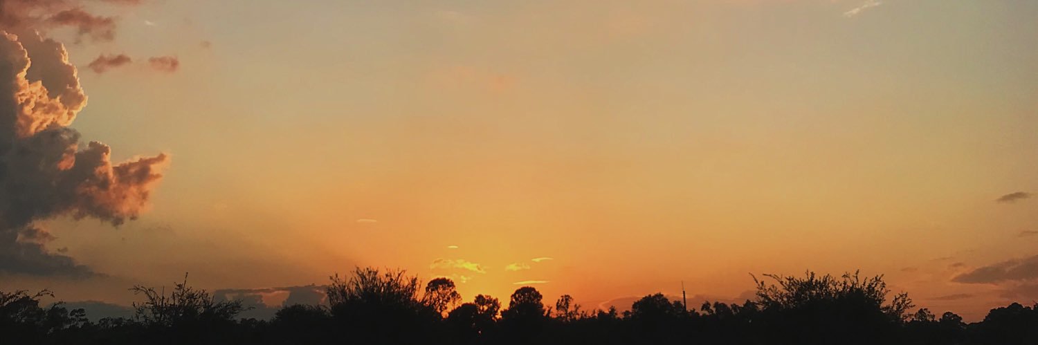 Jessie banner