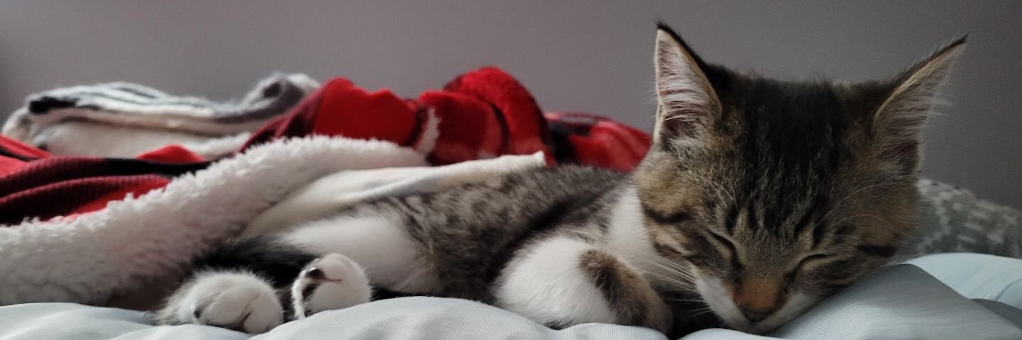 JessaFoley's profile banner image