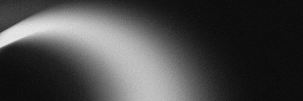 birk Profile Banner