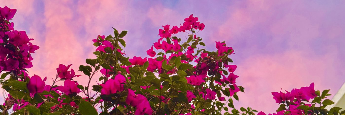 drvgl's profile banner image