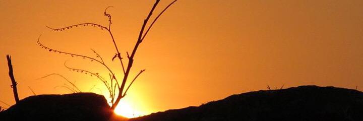 Reddy_73's profile banner image