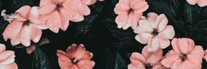 AlbornozMar_'s profile banner image