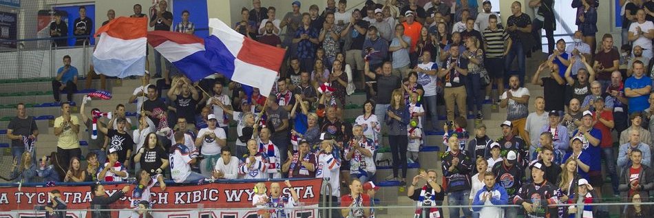 Texom STS Sanok banner