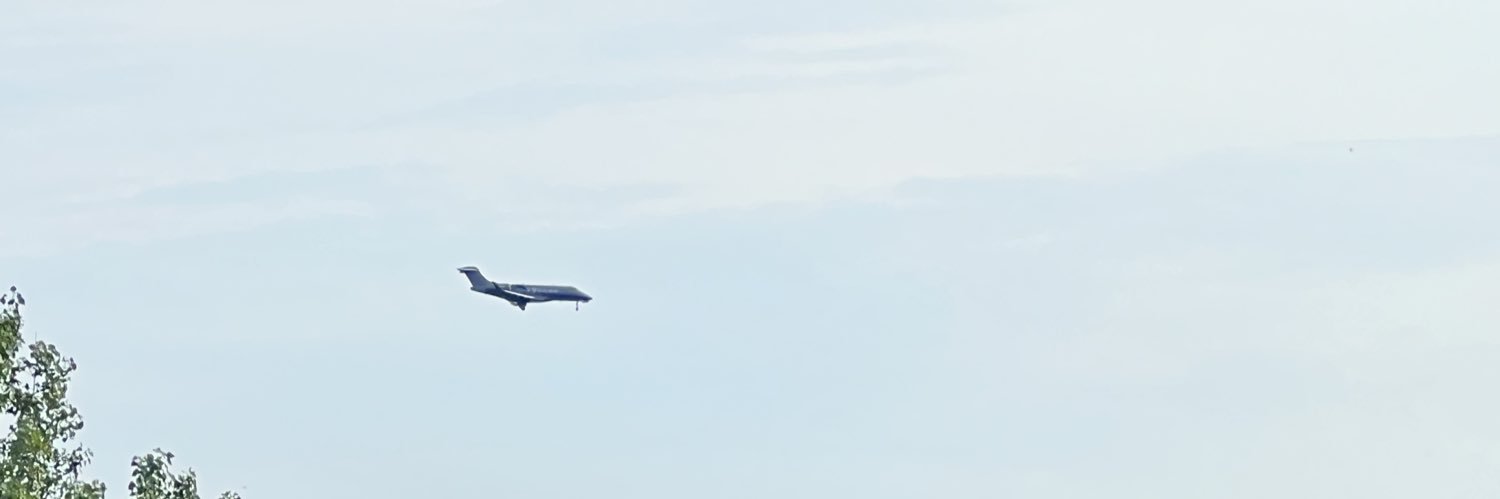Bingu - e/acc banner