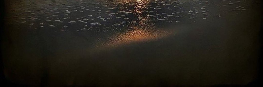 هــــــــــيـــثم🇸🇦 banner