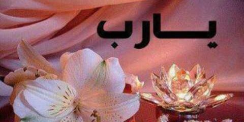 asdwa548's profile banner image