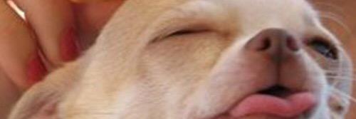 virtualdweeb's profile banner image