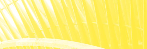 ijtpp Profile Banner