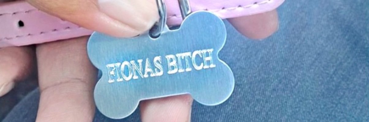 Fiona banner
