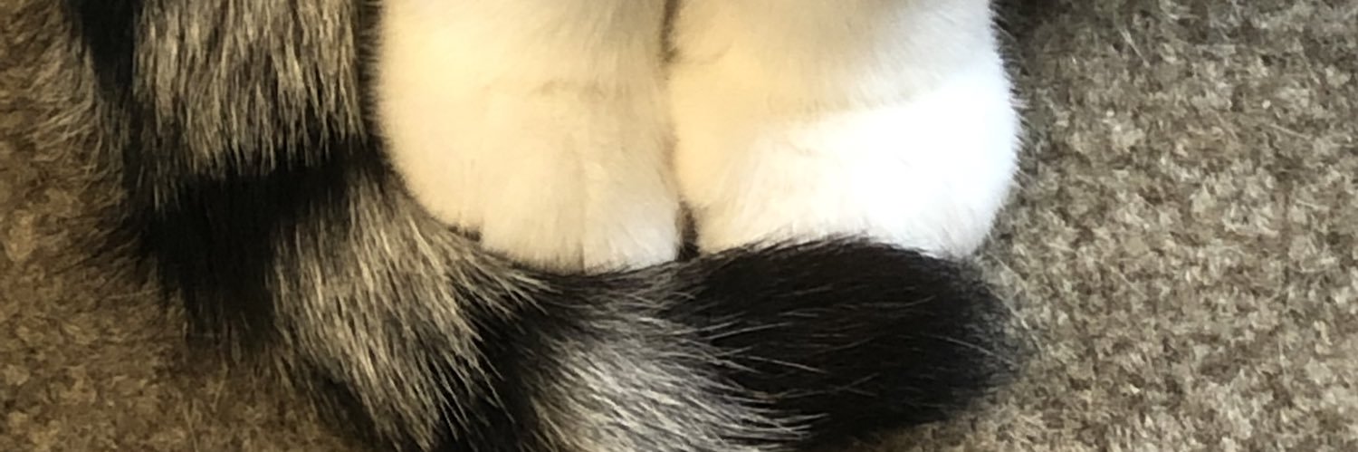 31562469's profile banner image