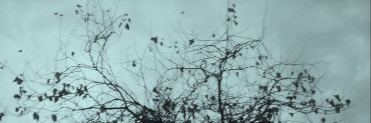 Cʀʏɪɴɢ Aɴɢᴇʟ banner