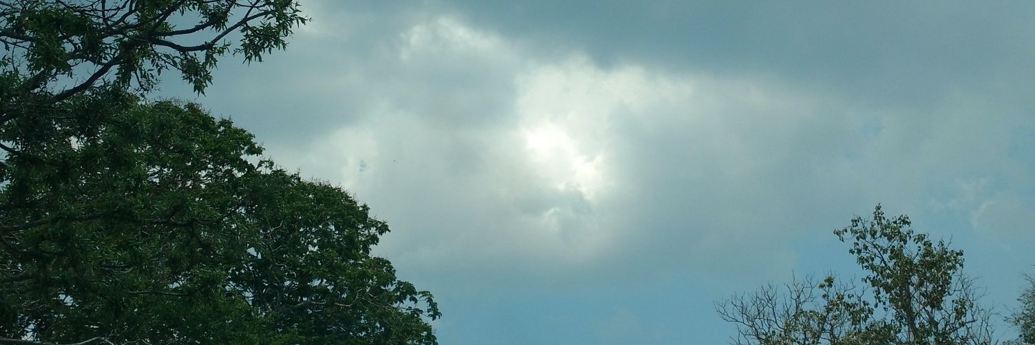 Srivatsa_mp's profile banner image
