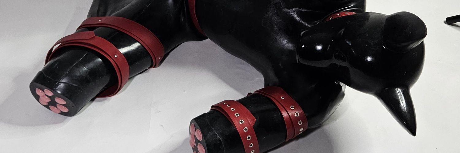 LatexFuchs banner