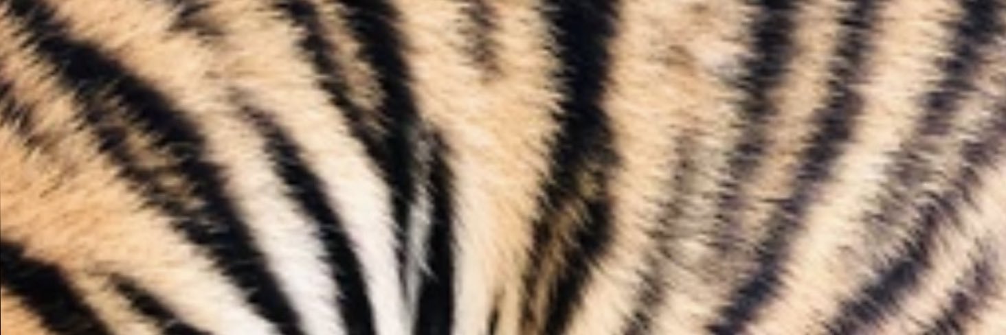 SpookyKAI2's profile banner image