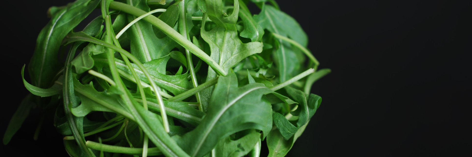 GroceryGetterOR's profile banner image