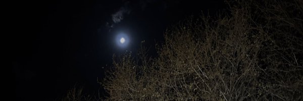 sanymaa Profile Banner