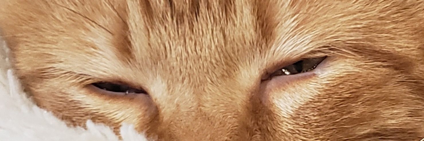 NateDerGrosse's profile banner image
