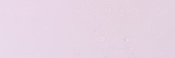 juliafauth's profile banner image