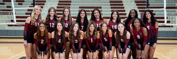 WallerHSVball Profile Banner