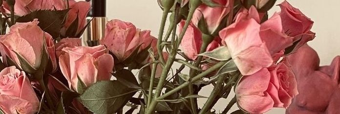 eva_akel's profile banner image