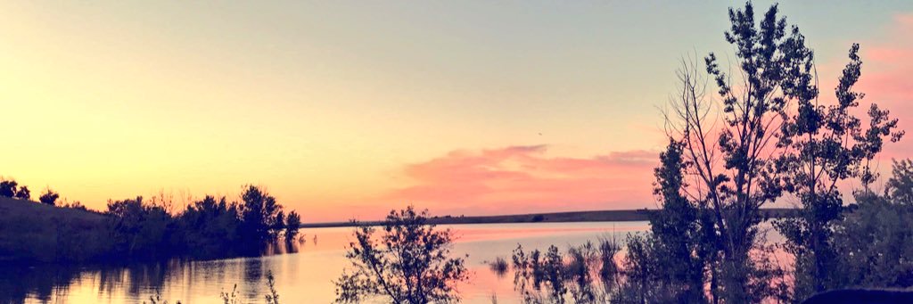 mollsss_'s profile banner image