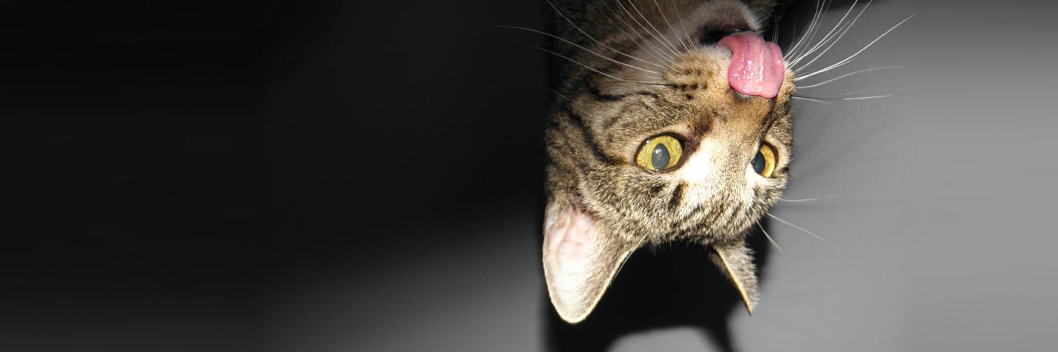 IamNickDuncan's profile banner image