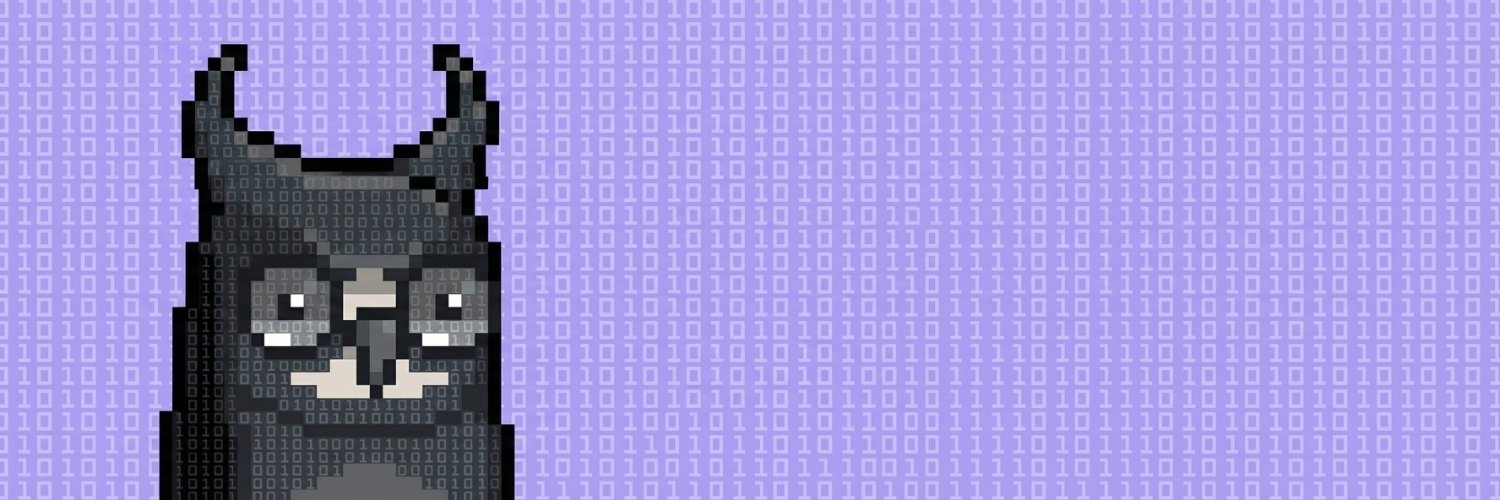 nil_0x's profile banner image