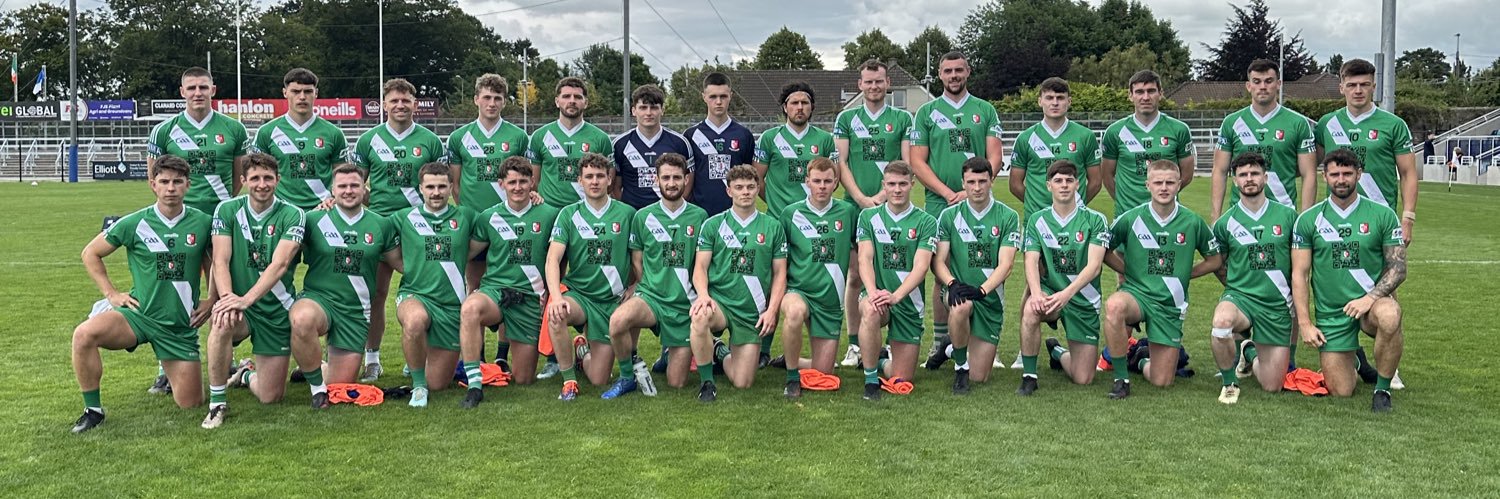 SarsfieldsGAA banner