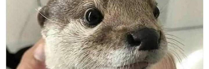 Myworldbryan's profile banner image