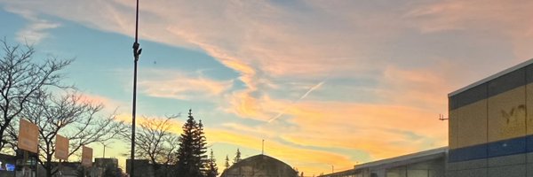 MsScavuzzo Profile Banner