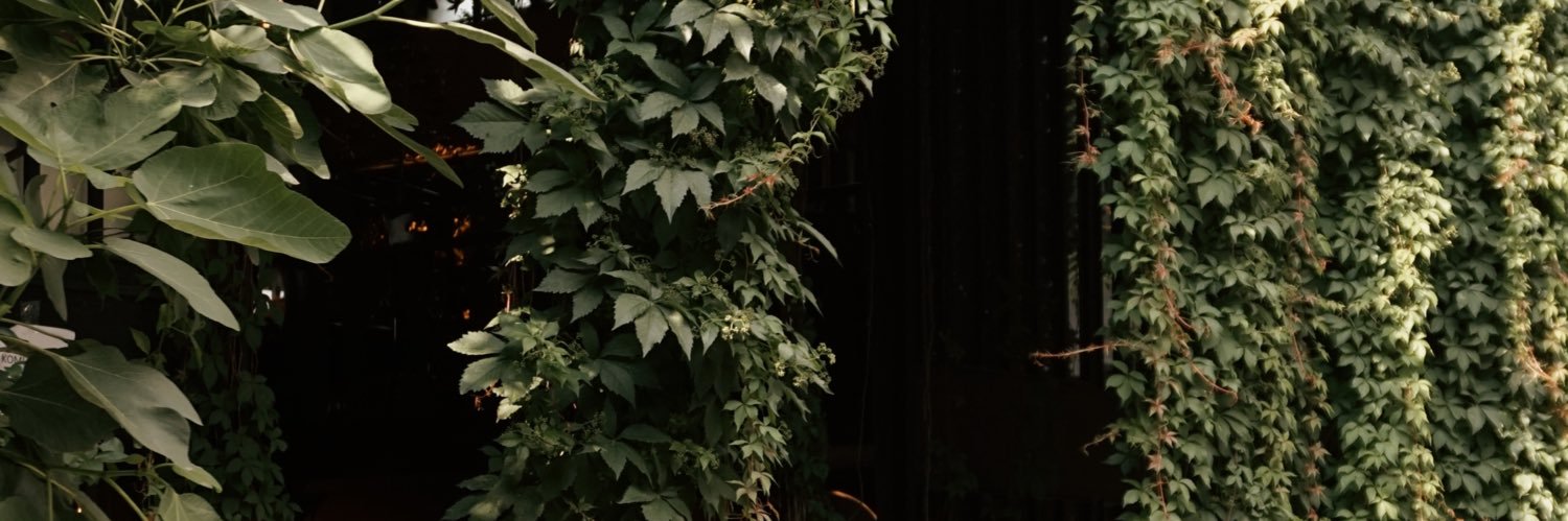 zrzaras's profile banner image
