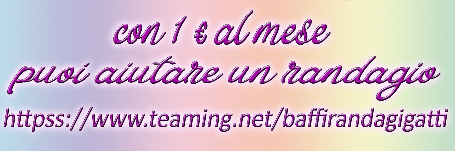 Baffi Randagi's banner