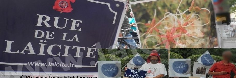 LaiciteMidi's profile banner image