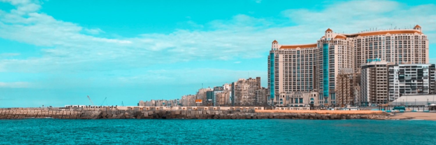 🦁 banner