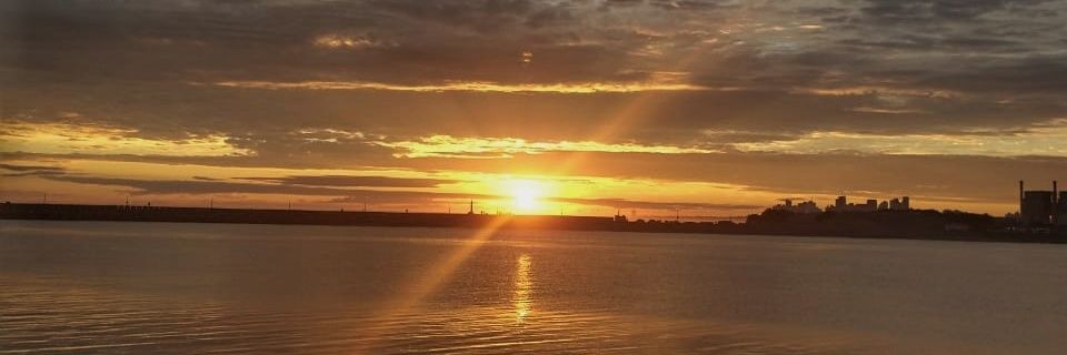 sofisuarez_9's profile banner image