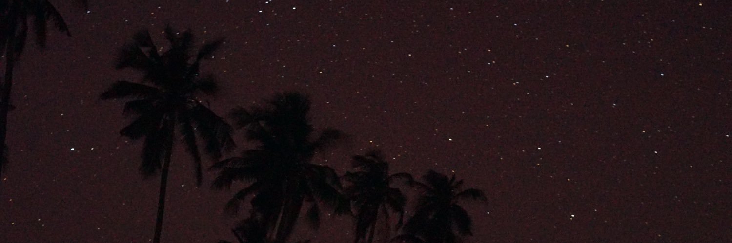 lutfiaariska's profile banner image