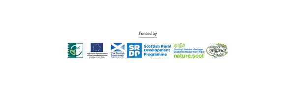 ForagingF Profile Banner