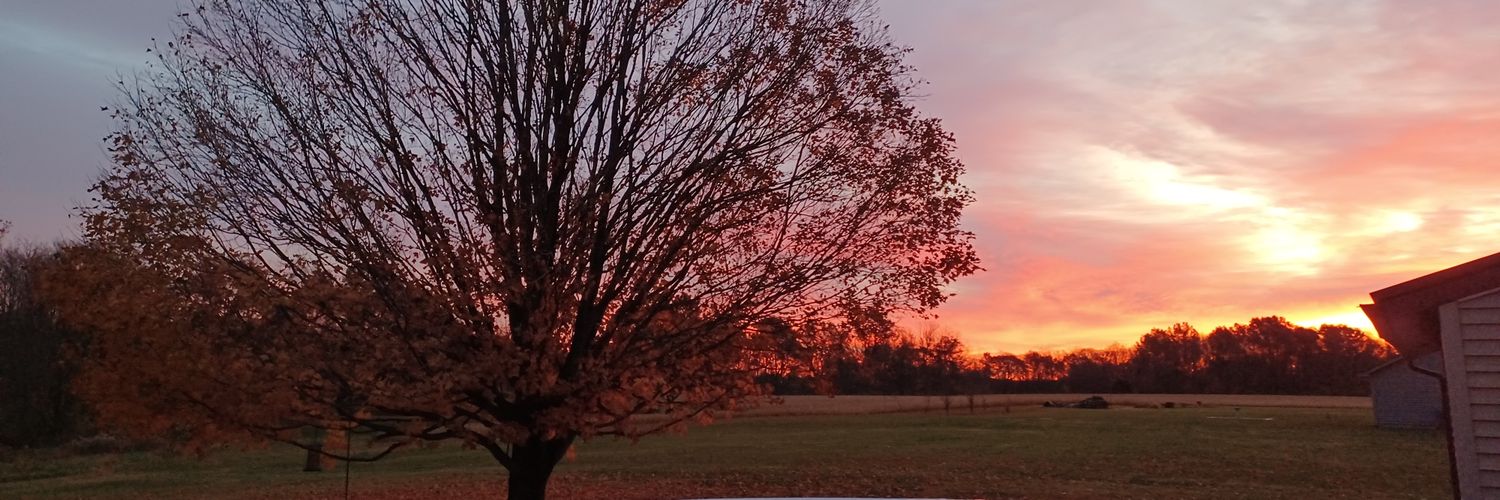 __Travis_B_'s profile banner image